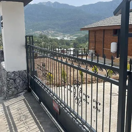 Celikkaya *