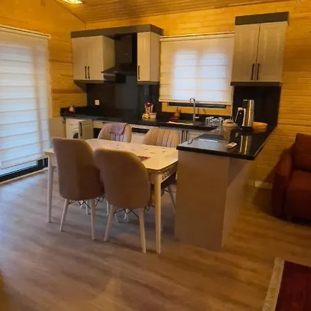 Celikkaya Villa *